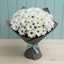 Букет цветов из:  Хризантемы #REPLACE_PRED# Восточный